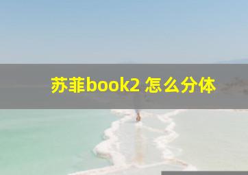 苏菲book2 怎么分体